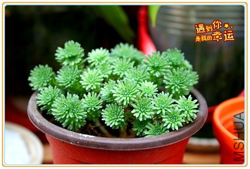 ��Ƭ 021_����.jpg