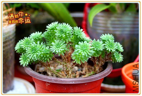 ��Ƭ 023_����.jpg