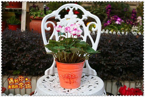 ��Ƭ 030_����.jpg