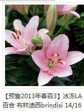 {1448F3A8-E5AF-4AF6-B93E-200CBC029FDA}.jpg