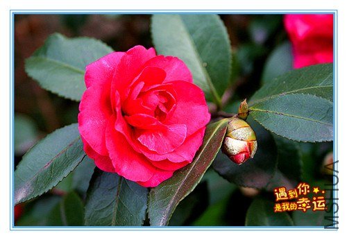 ��Ƭ 206_����.jpg