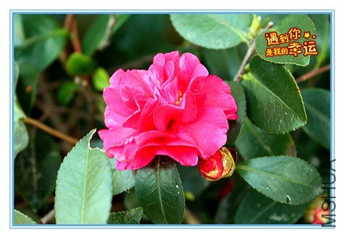 ��Ƭ 197_����.jpg