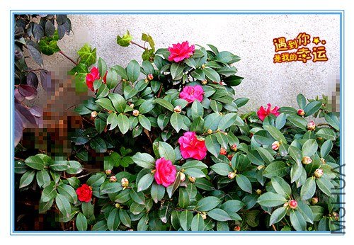 ��Ƭ 200_����.jpg