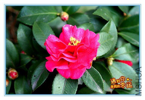 ��Ƭ 204_����.jpg