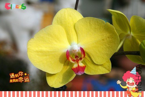 ��Ƭ 161_����.jpg