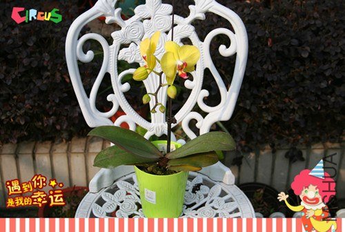 ��Ƭ 154_����.jpg