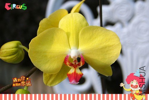 ��Ƭ 158_����.jpg