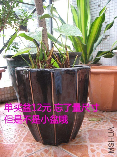 063.jpg