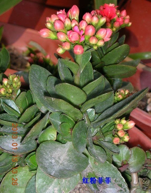 DSCN0592.JPG