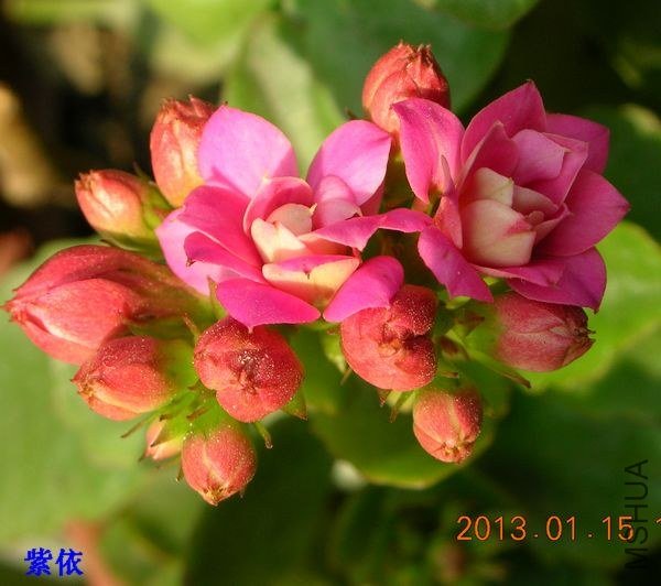 DSCN0599.JPG