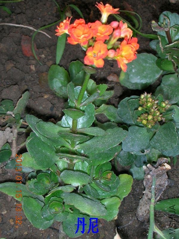 DSCN0604.JPG
