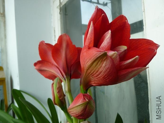 P1020442.JPG