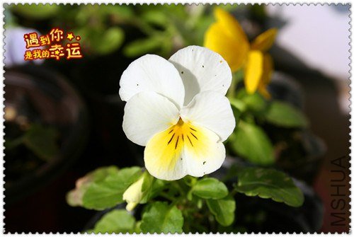 ��Ƭ 106_����.jpg