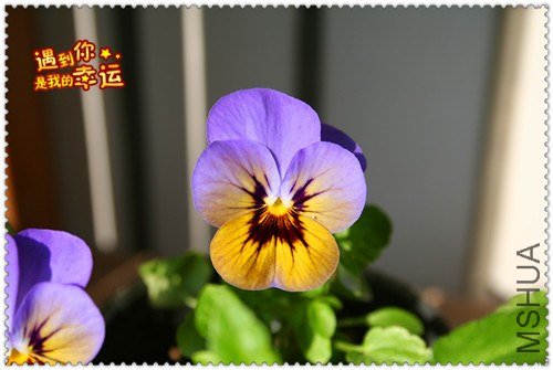 ��Ƭ 105_����.jpg