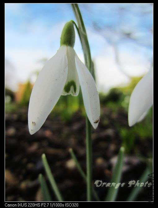 nEO_IMG_2012��2��Ӣ�� 001.jpg