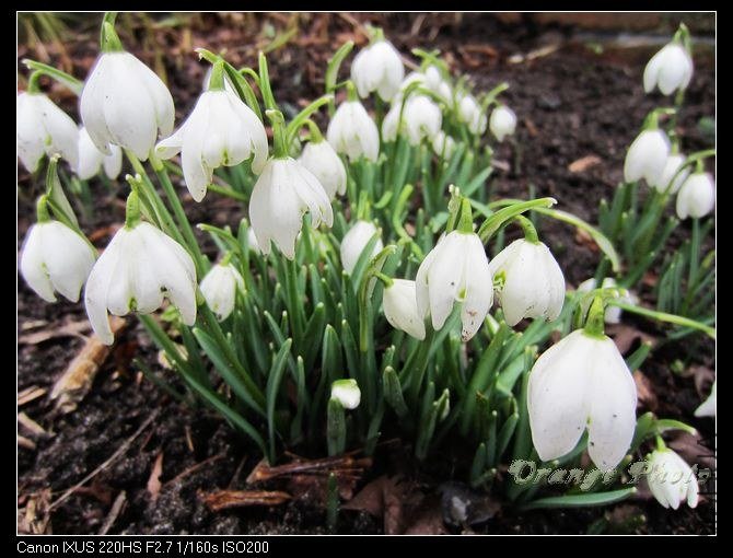 nEO_IMG_2012��2��Ӣ�� 091.jpg