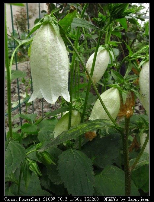 007 ÿ��������ĳԭ�������.jpg