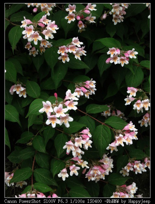 008 ��˵�й�������.jpg