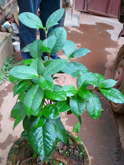 ��Ƭ1511_����.jpg