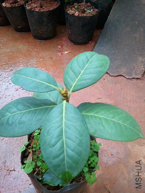 ��Ƭ1519_����.jpg