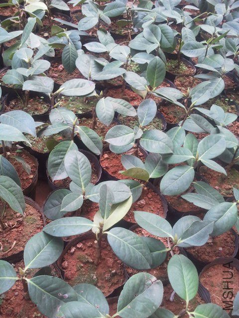 2012-03-25 11.30.23.jpg