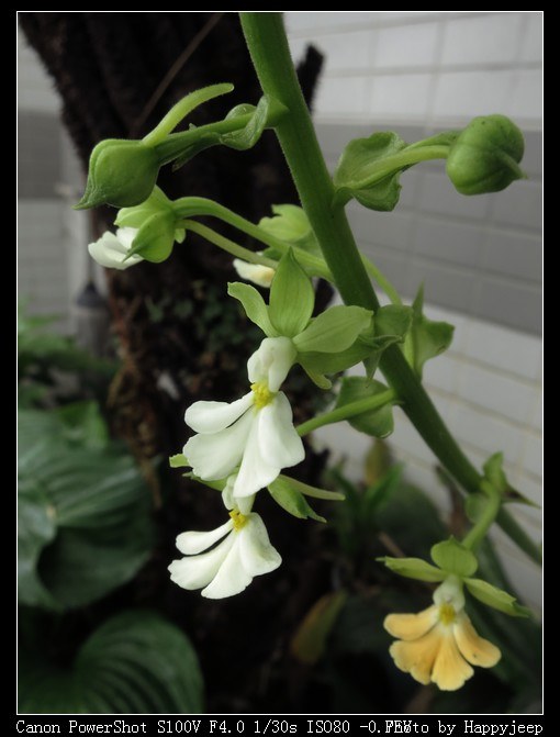 011 ����ĳϺ����.jpg