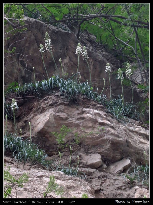 001 ��β��.jpg