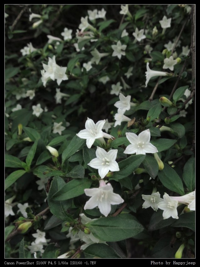 006 ����ʶ ����ĳ�̶�.jpg