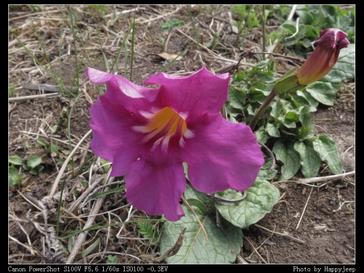 020 �ز��޻�.jpg