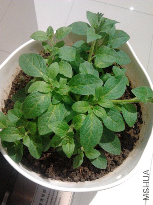 2013-01-21 15.38.01_����.jpg