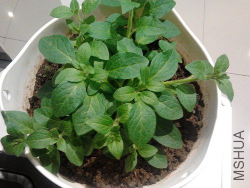 2013-01-21 15.38.09_����.jpg