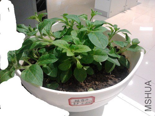 2013-01-21 15.38.56_����.jpg