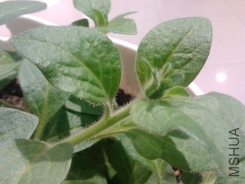 2013-01-21 15.38.39_����.jpg