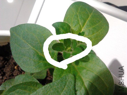 2013-01-21 15.45.42_����.jpg