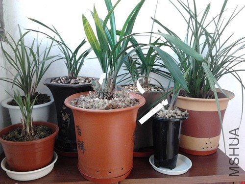 2012-12-24 16.00.47_����.jpg