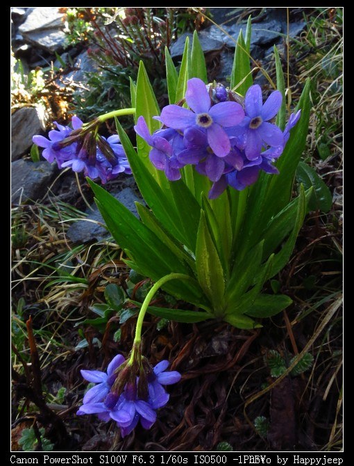 017 ����4ǧ��ı���.jpg