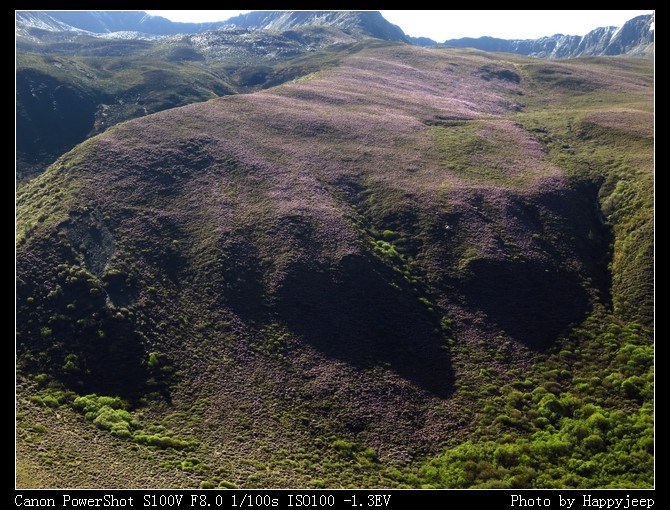 028 ��ɽ��Ұ�ĸ�ɽ�ž�.jpg