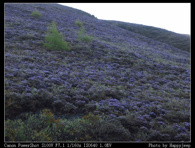 028 ��ɽ��Ұ�ĸ�ɽ�ž�2.jpg