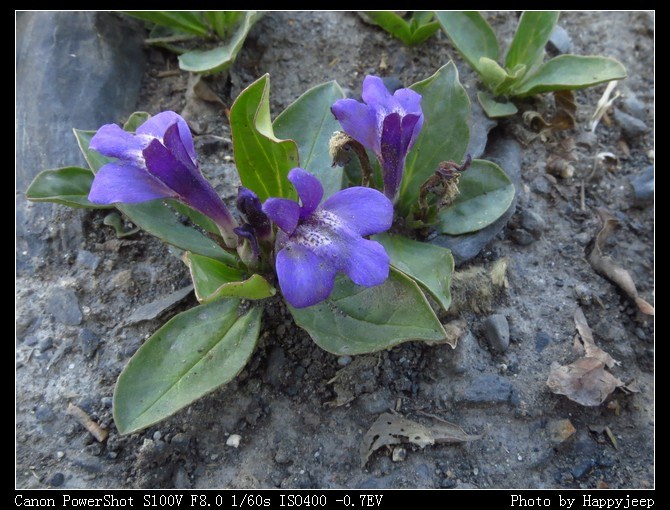 045 ���ο��������.jpg