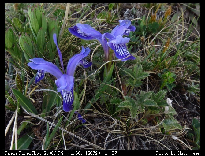 048 ĳ��Ư�����β.jpg