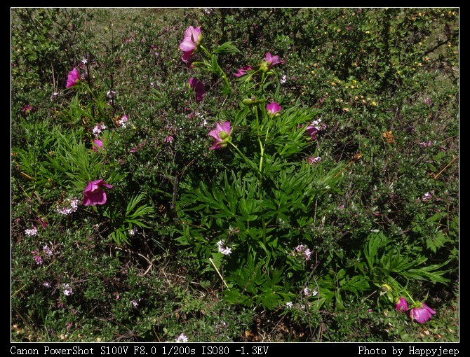 061 ��ô¶�������Ĵ�����.jpg