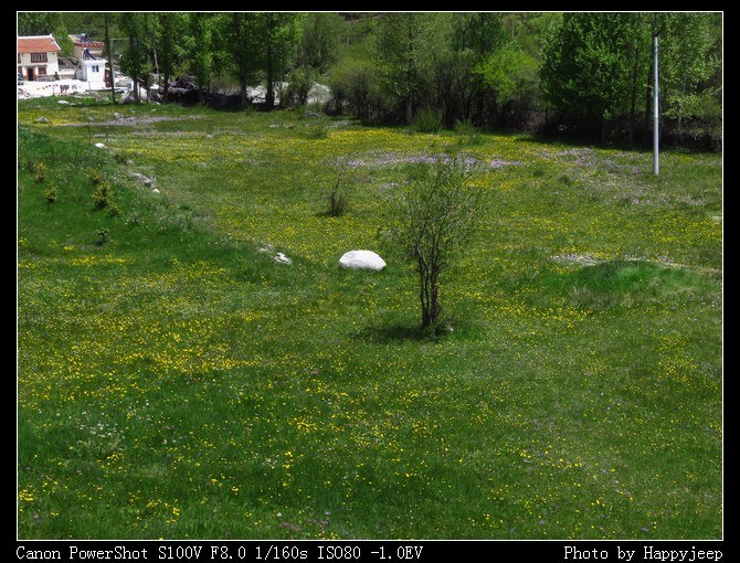 082 ��������.jpg