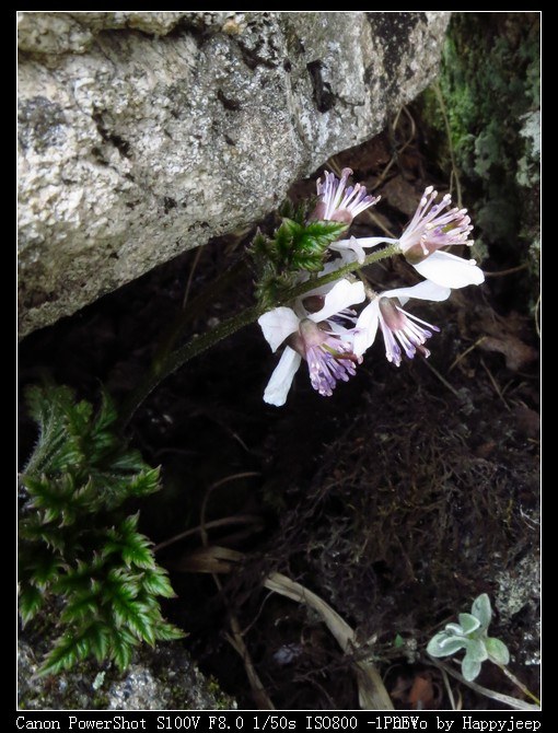 092 ëݢ�ƻ�����.jpg