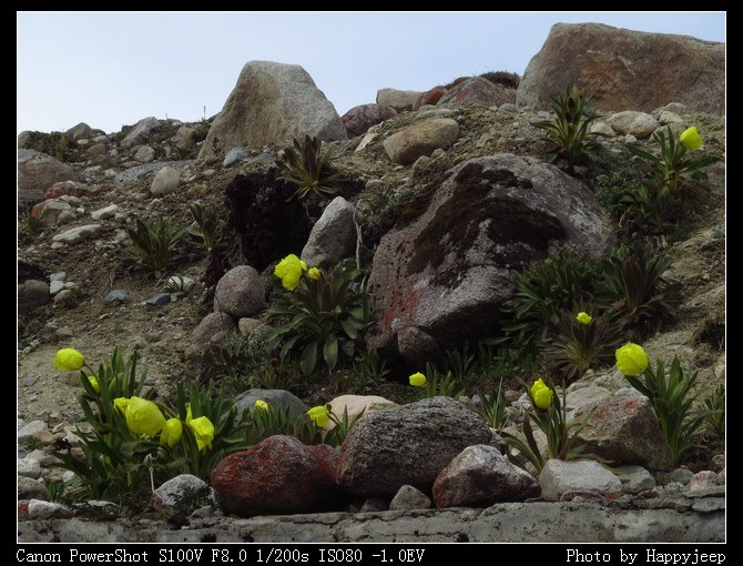 093 ʲô��ʯ԰��������Ȼ��.jpg