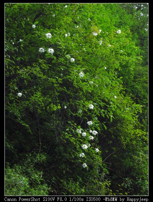 102 ����Ů��.jpg