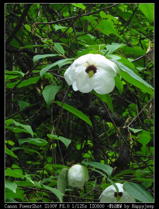 102 ����Ů��2.jpg