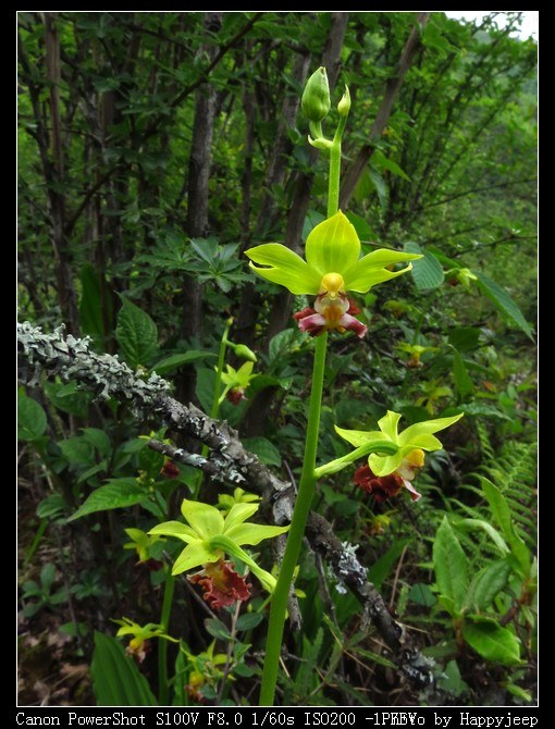 118 ����ĳϺ����.jpg