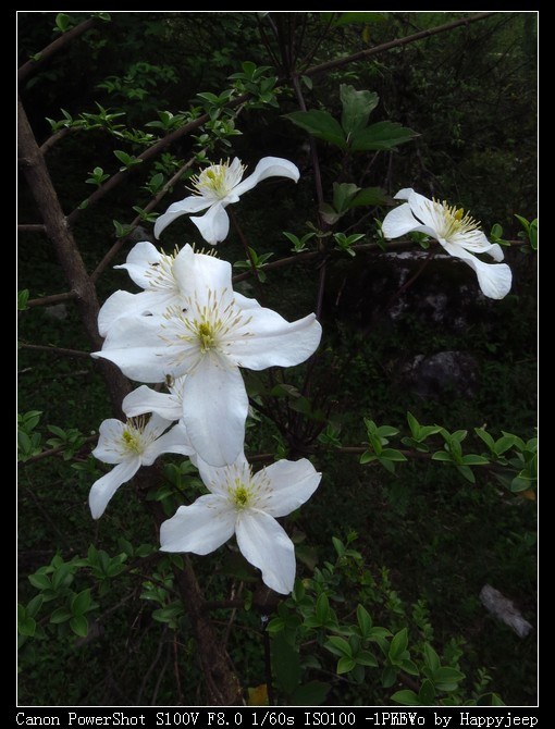 120 ĳ��������С��.jpg