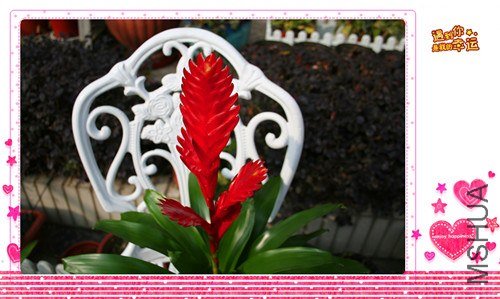 ��Ƭ 122_����.jpg