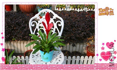 ��Ƭ 117_����.jpg